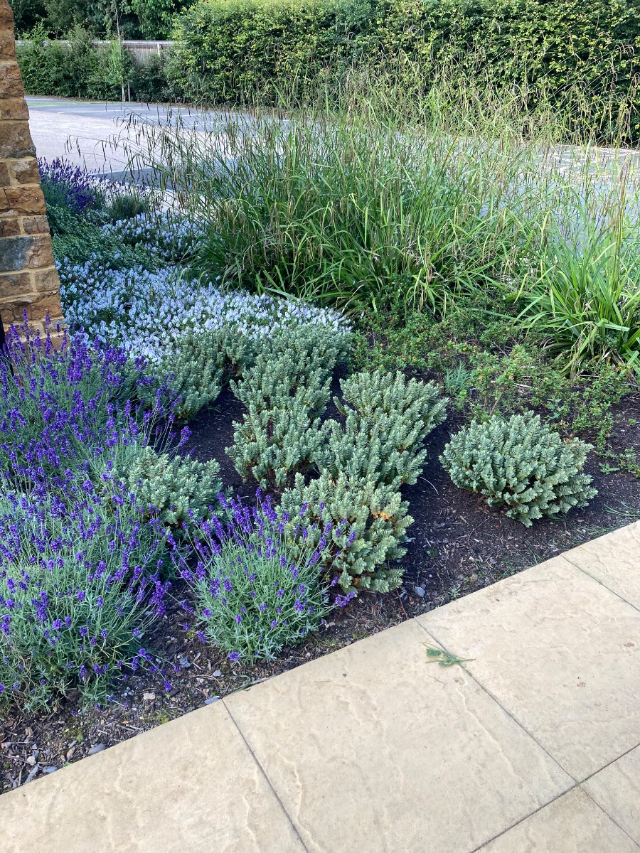 Gardener: Image 1